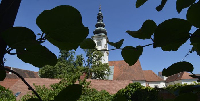 Eine einzigartige Altbauwohnung im Zentrum!